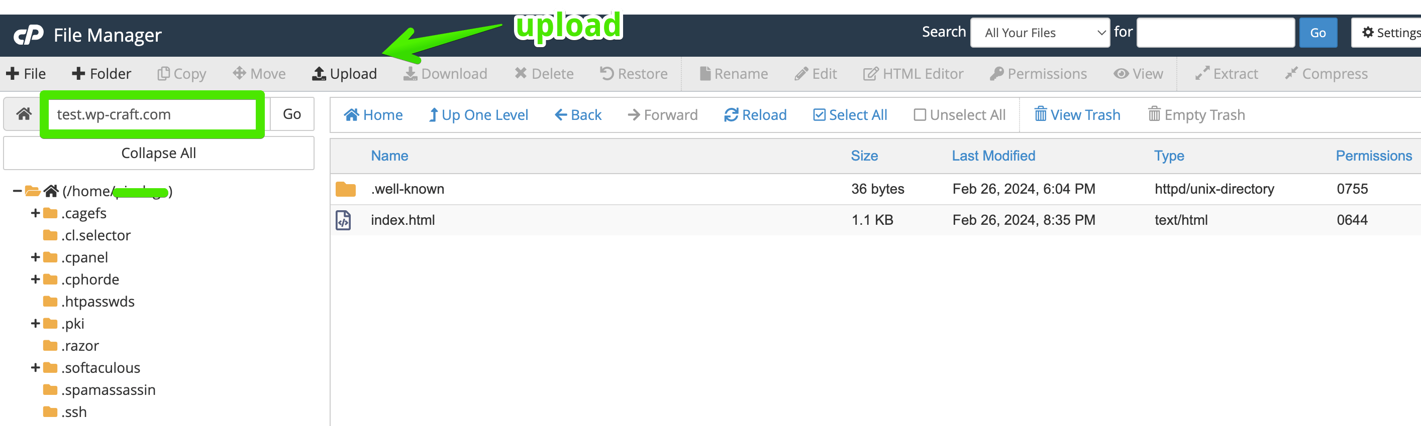 Upload in cPanel
